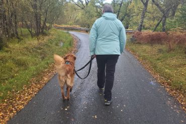 How to Teach “Touch” to Your Dog: A Step-by-Step Guide