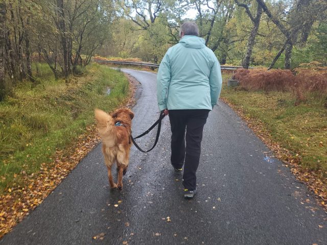 Loose Leash Walking