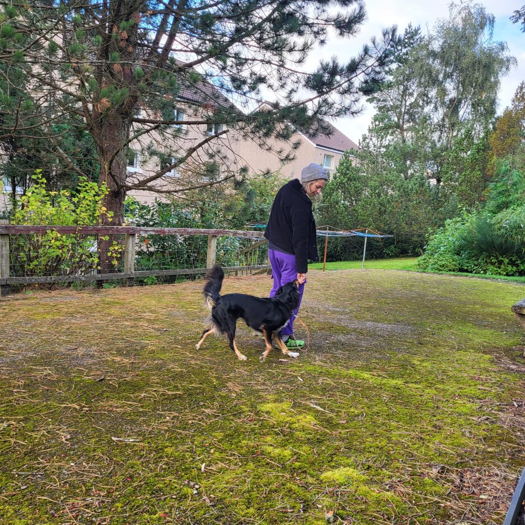 Loose Leash Walking
