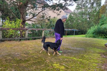 How to Teach “Touch” to Your Dog: A Step-by-Step Guide