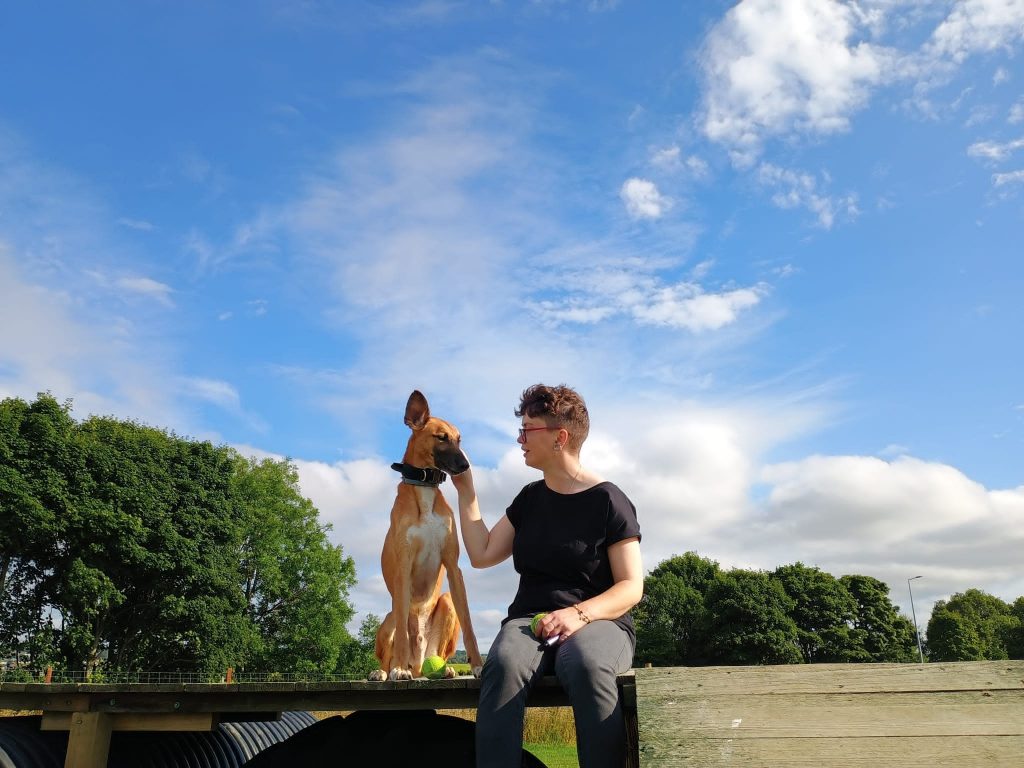 1-2-1 Perthshire Dog Training