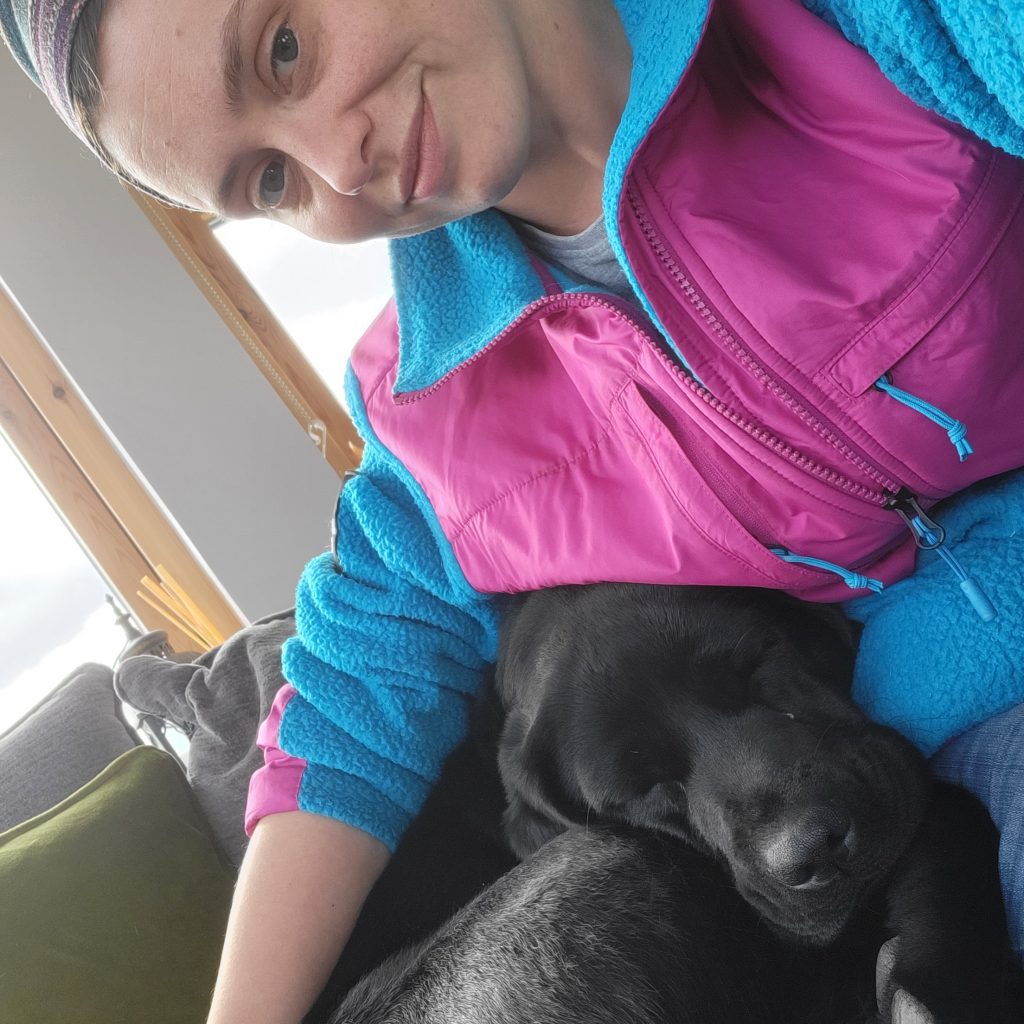 Online Dog Training 