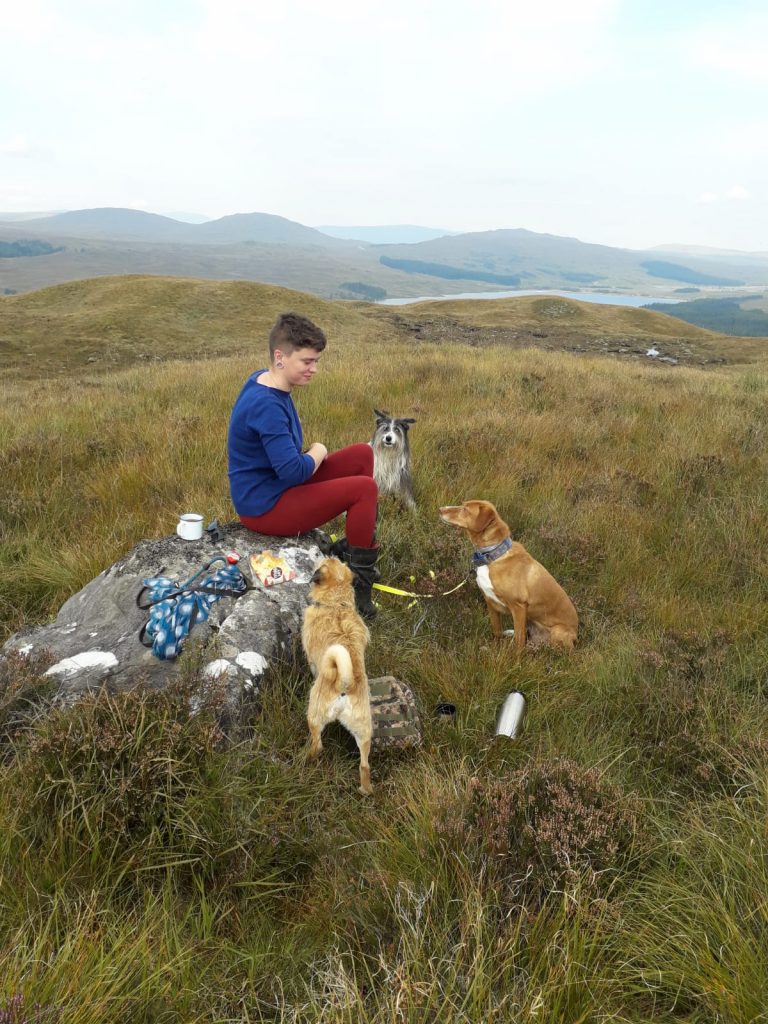 Enquire about classes and 1-2-1 dog training sessions